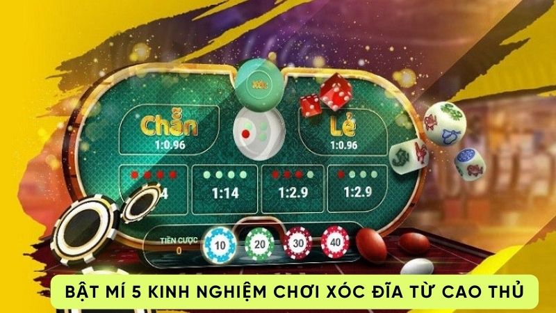 Bật mí 5 kinh nghiệm chơi xóc đĩa từ cao thủ